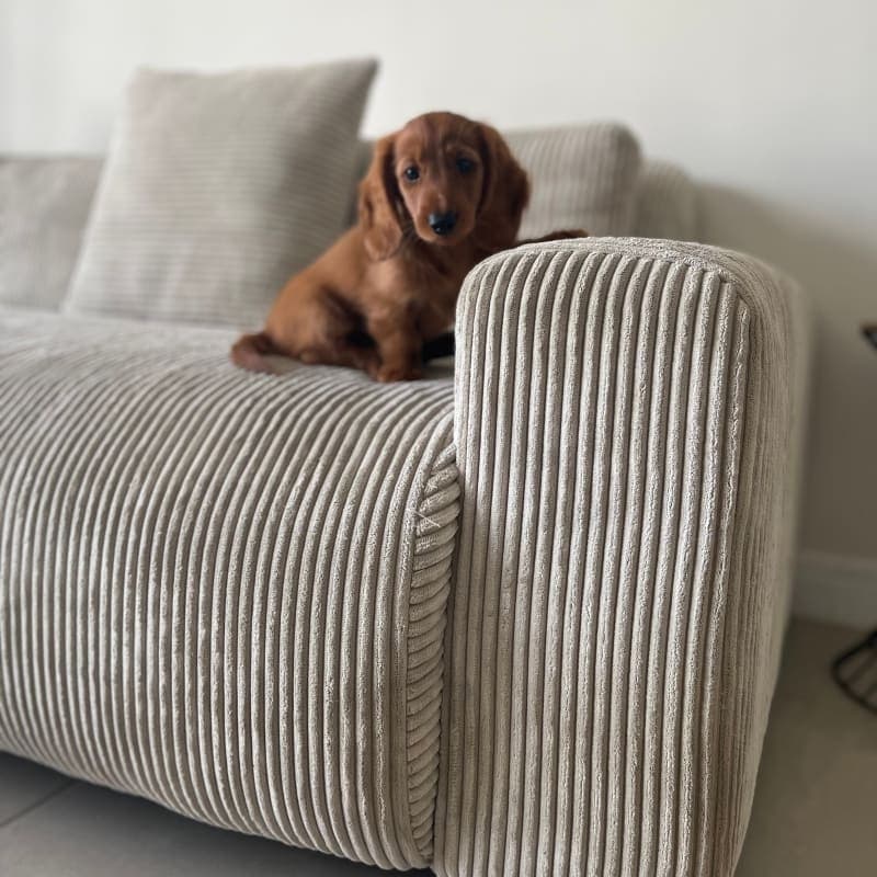 Image of the product Candy Left Corner Chaise, 261 cm