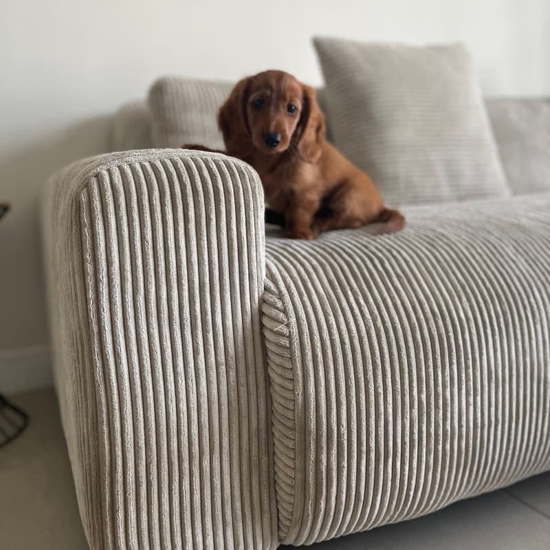 Image of the product Candy Right Corner Chaise, 241 cm