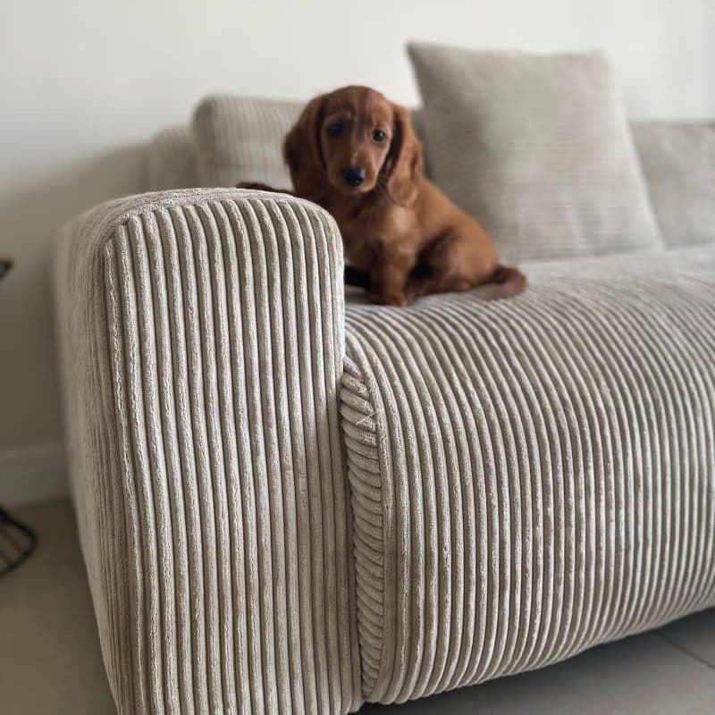 Image of the product Candy Right Corner Chaise, 301 cm