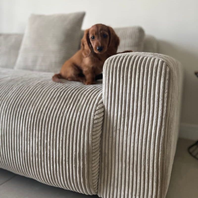 Image of the product Candy Left Corner Chaise, 301 cm